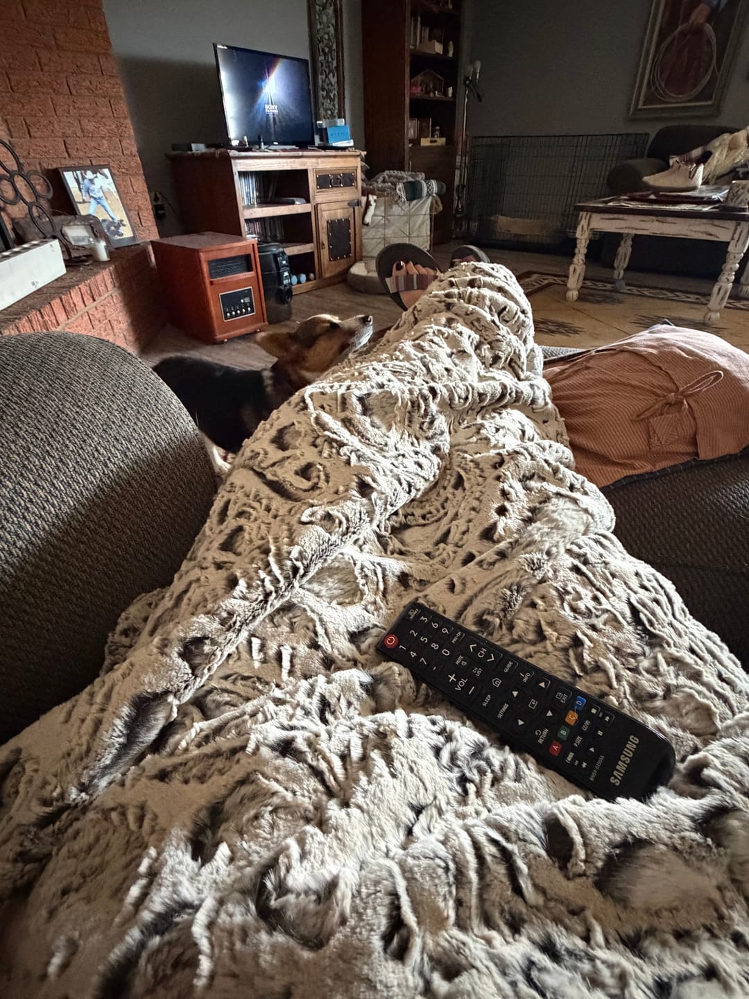Customer photo review of The Dapple Gray Paisley Blanket
