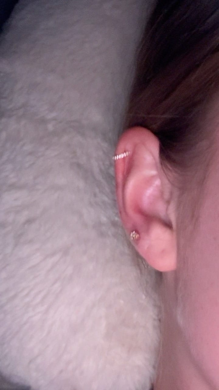 Customer photo review of HI-LIFE Crystal Clicker Piercing