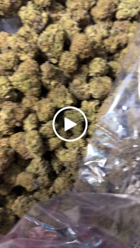 Truffle - Bulk - Indica photo review