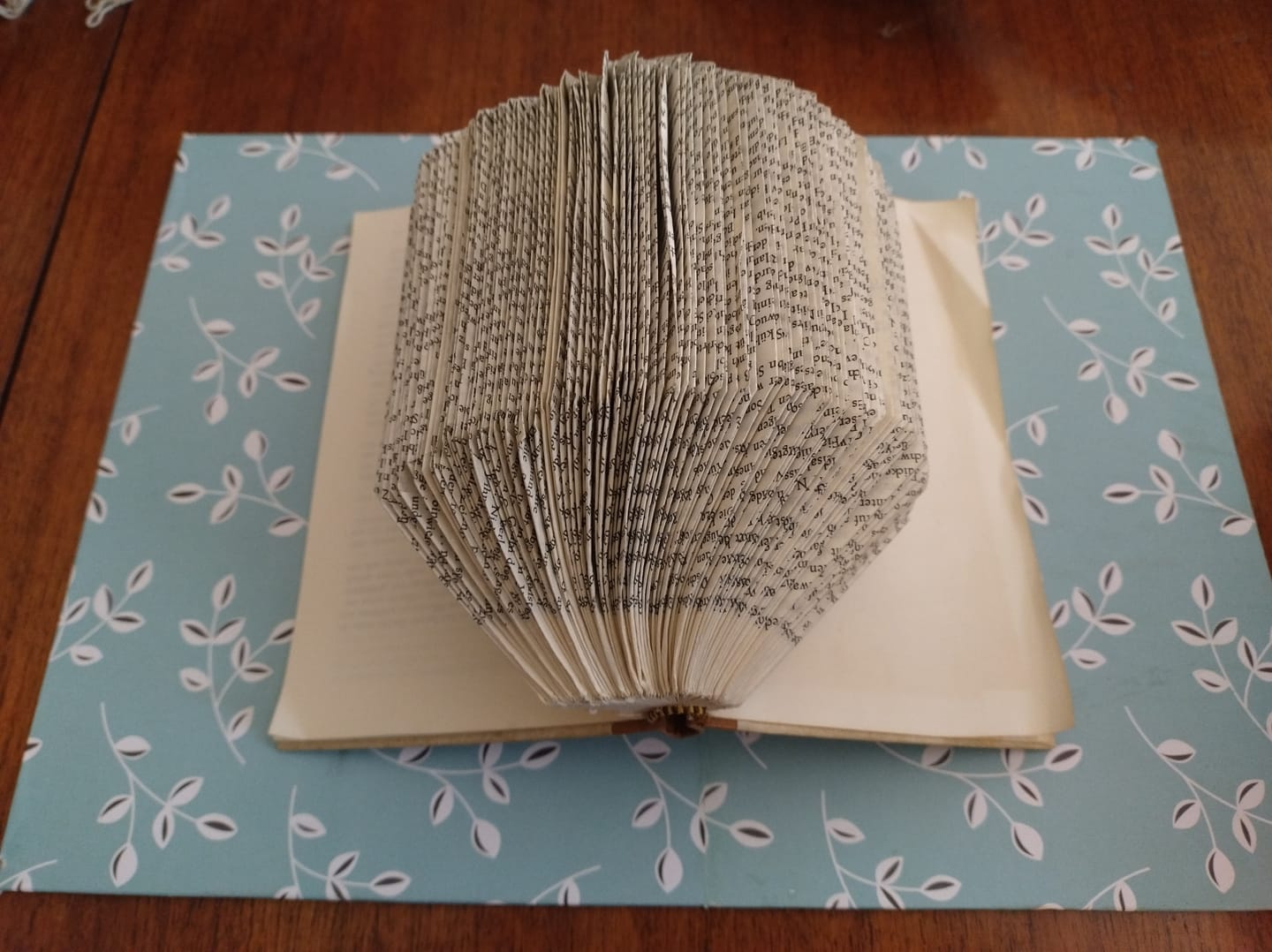 Customer photo review of TALLER BOOKFOLDING  ... TRANSFORMANDO LIBROS EN ARTE  BY OLGA CARTONERA