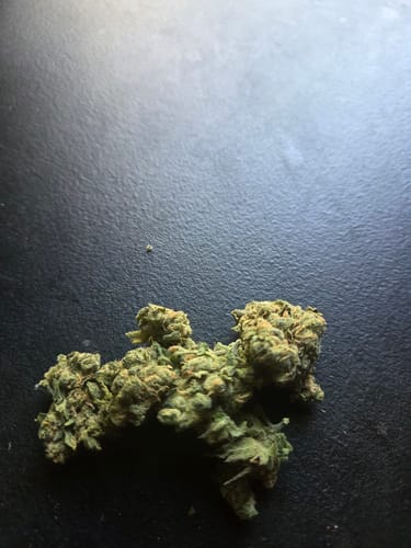 Beyond Blue Dream Indoor - Bulk - Sativa photo review