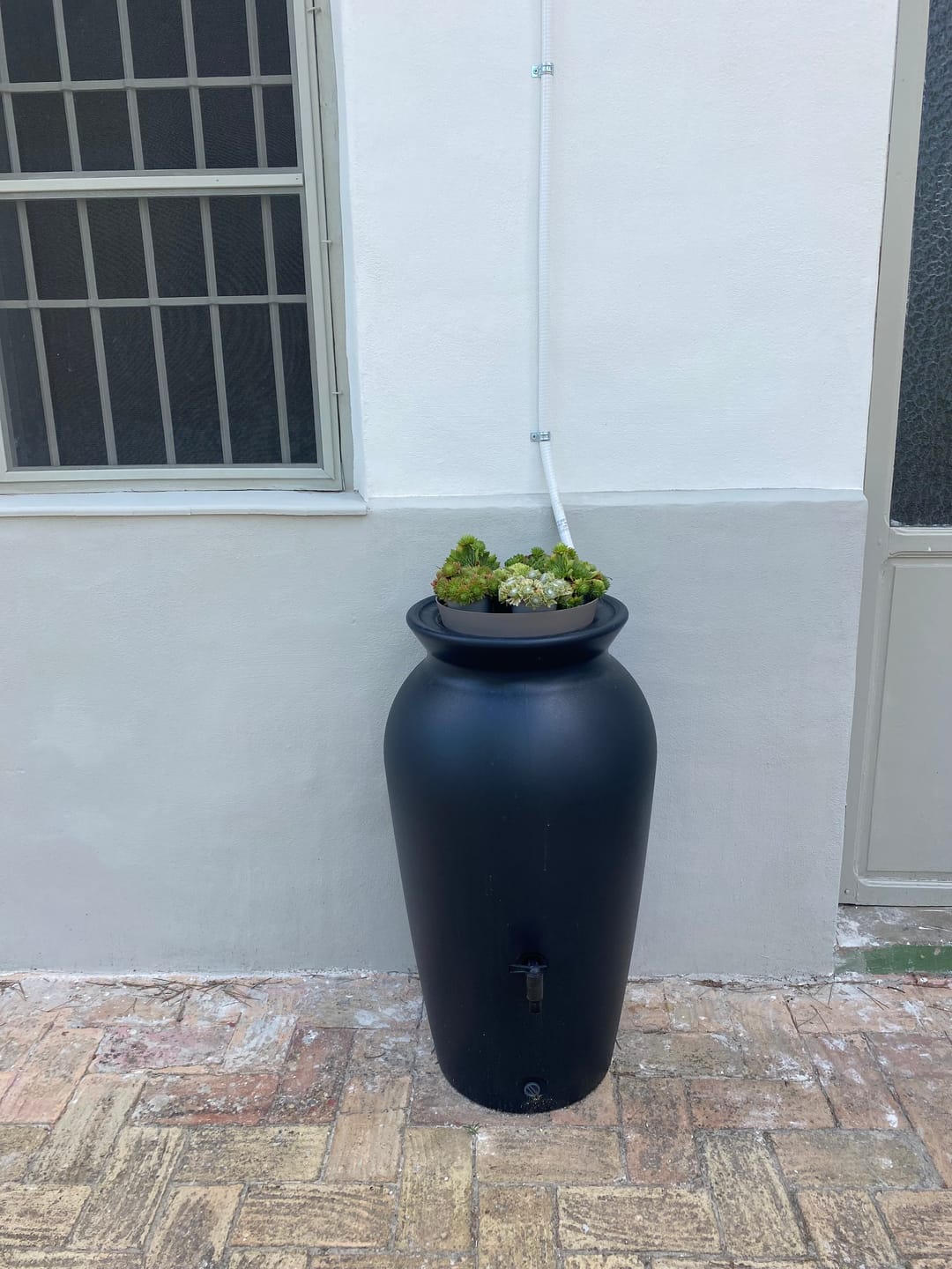 Customer photo review of Regentonne 120 Liter oder 230l Dropcatcher im Tongefäß-Design