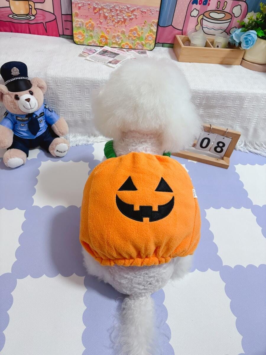 Customer photo review of Halloween Pumpkin Cute costume
