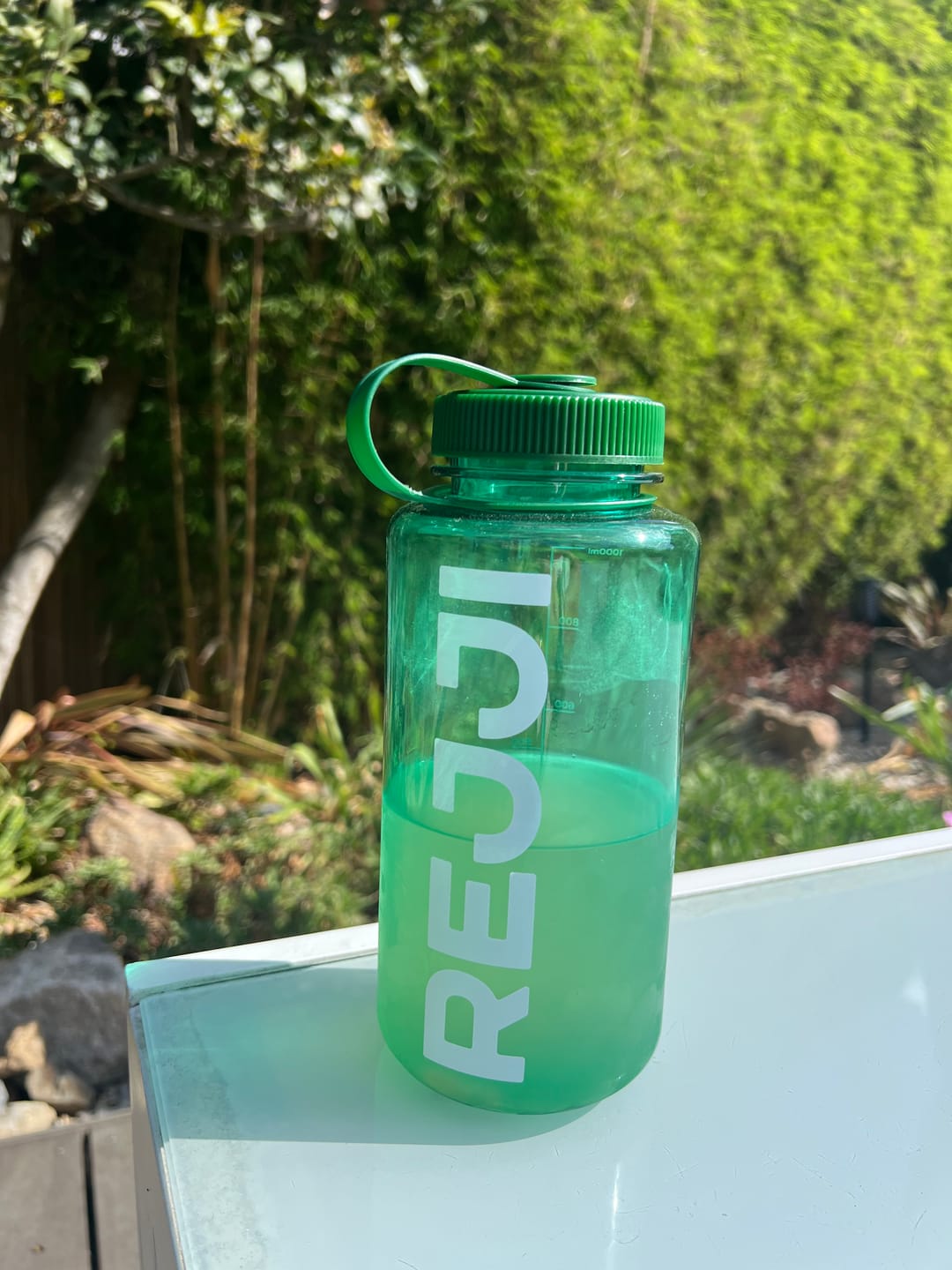 Customer photo review of Gourde REJJI