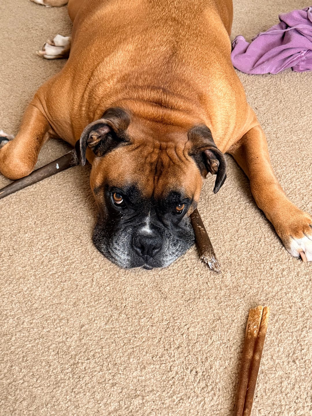 Customer photo review of Super Bull Sticks