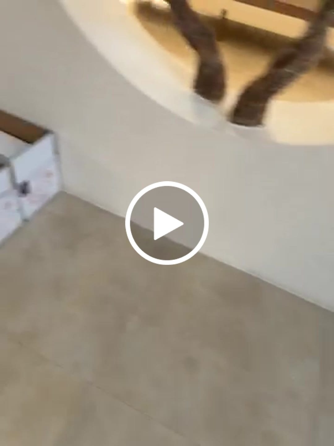 Customer video review of Set Of 3 Outdoor/Indoor Fiberglass Concrete Planter Box Xk-8177A+B+C - Clay Color