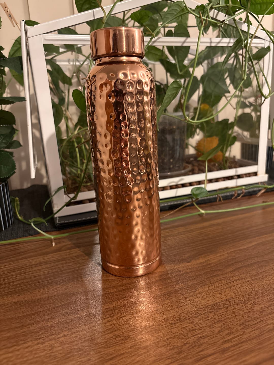 Customer photo review of Hammered Pure Copper Water Bottle 950ml