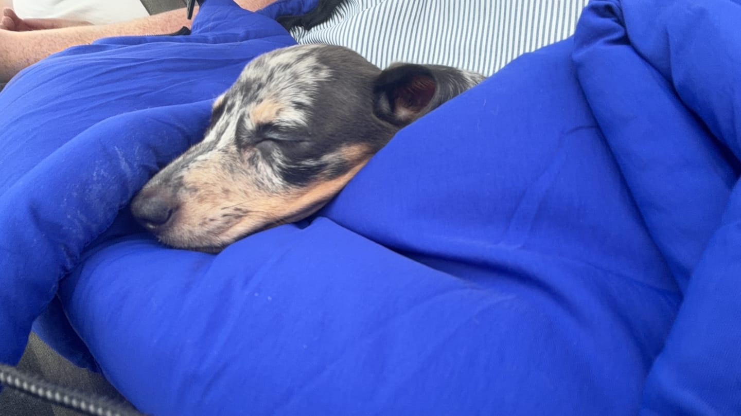 Customer photo review of Sac de voyage bleu
