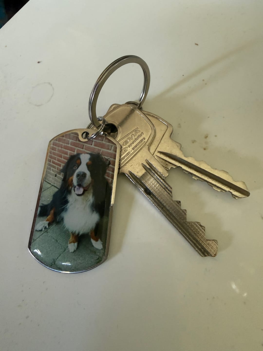 Customer photo review of Personalized Pet Keychain