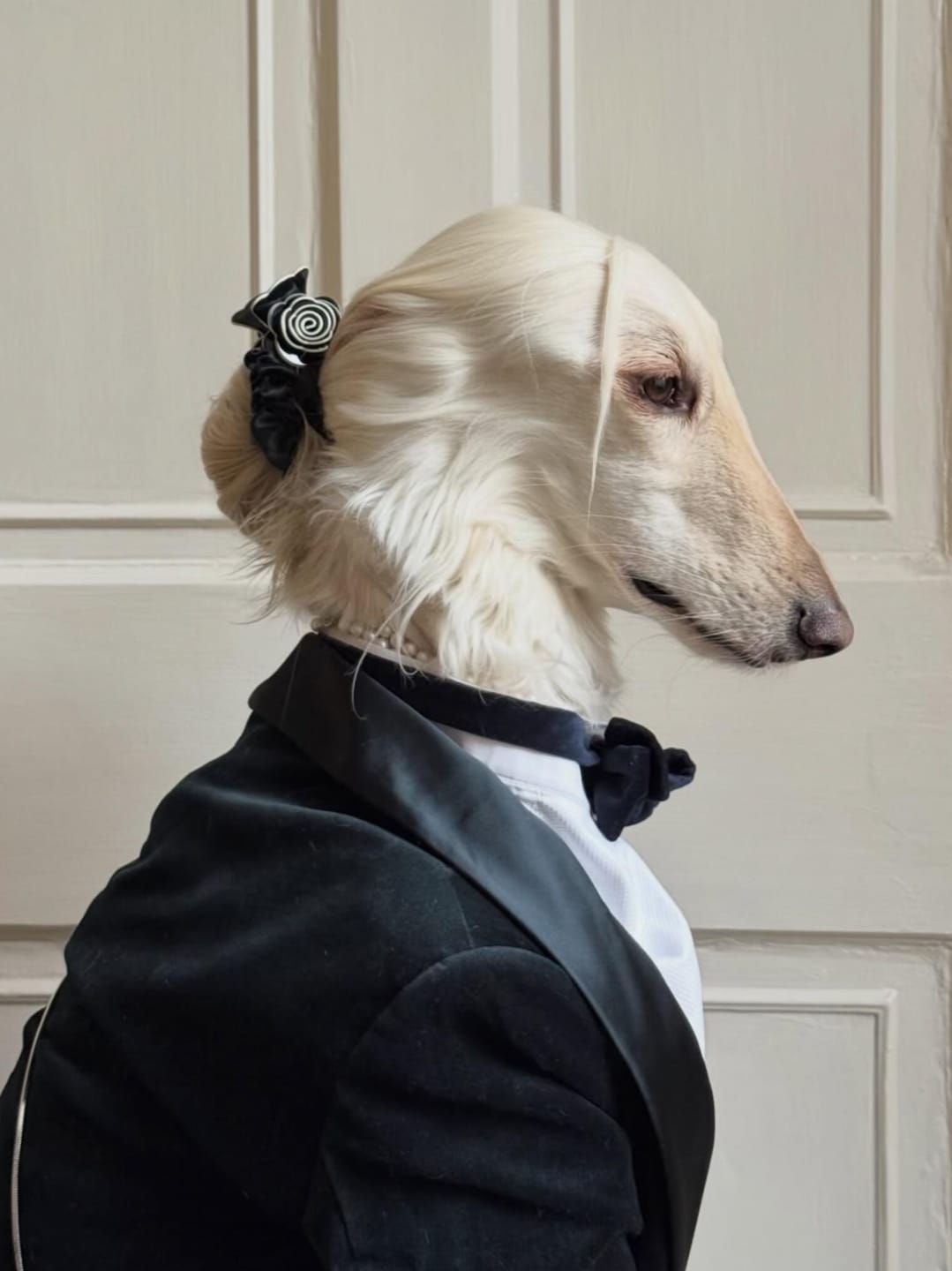 Customer photo review of Tuxedo and Bandana Suit Costumes