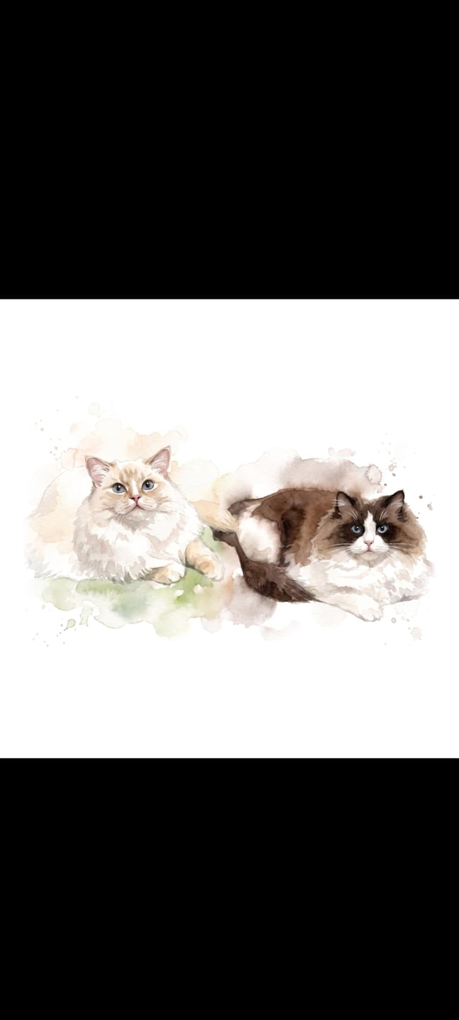 Customer photo review of 🎁 Digitales Kunstwerk per E-Mail