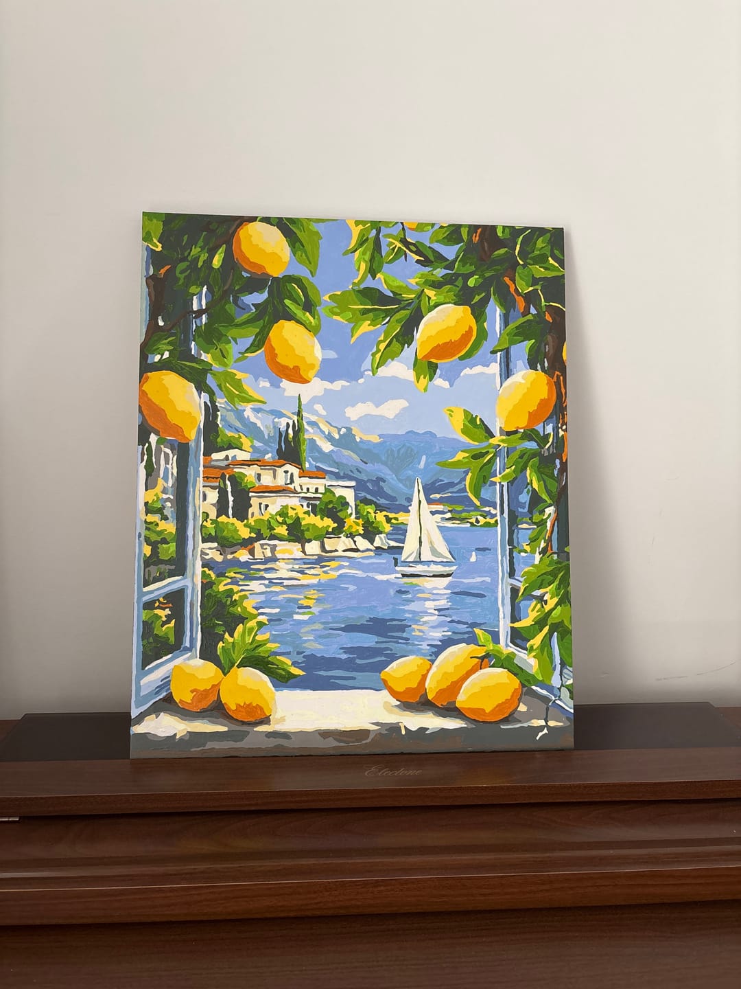 Customer photo review of Lemons & Italian Lake View | Paint by Number