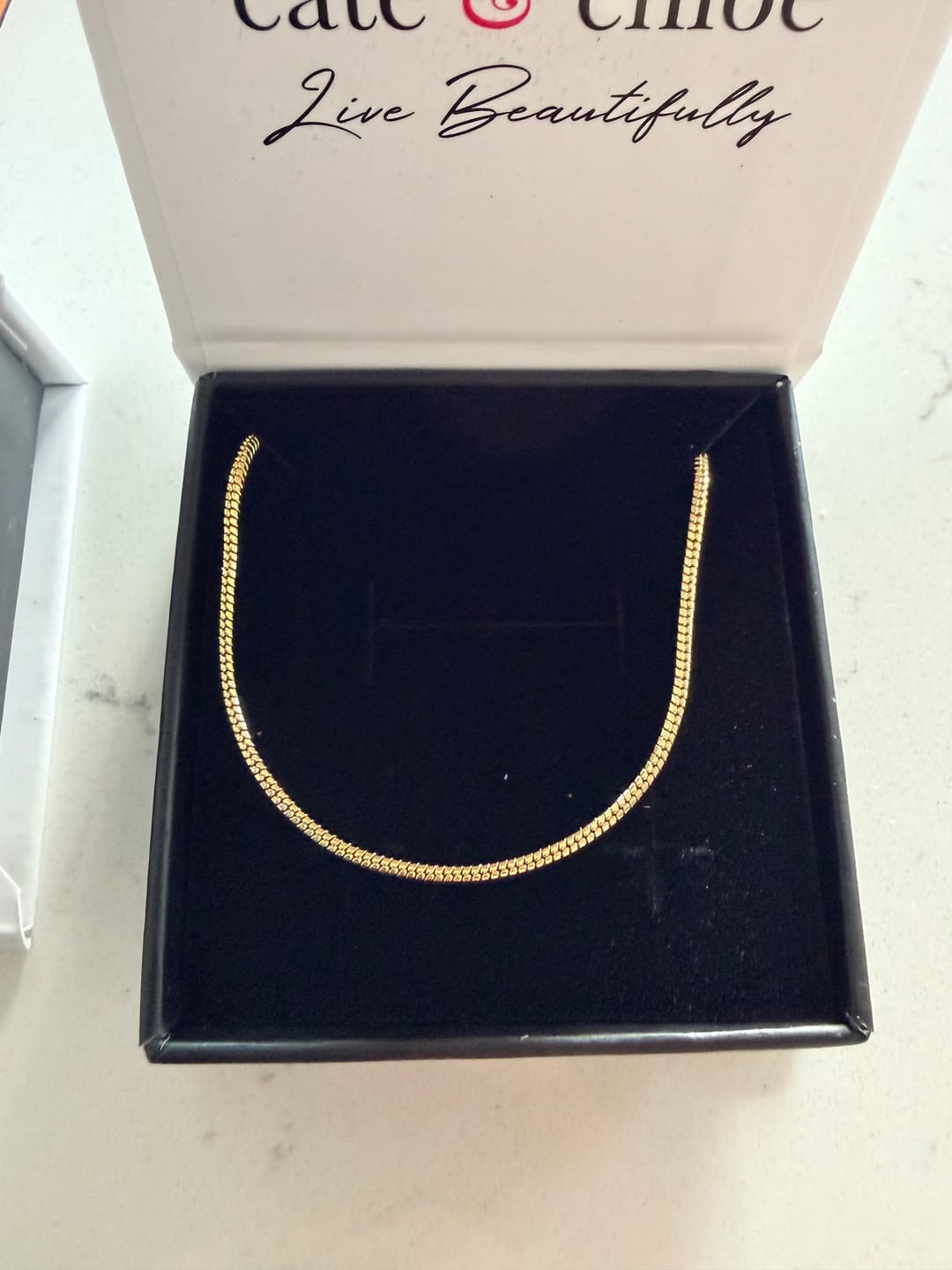 Customer photo review of Peyton 18k White Gold Plated Stacking Necklace Chain