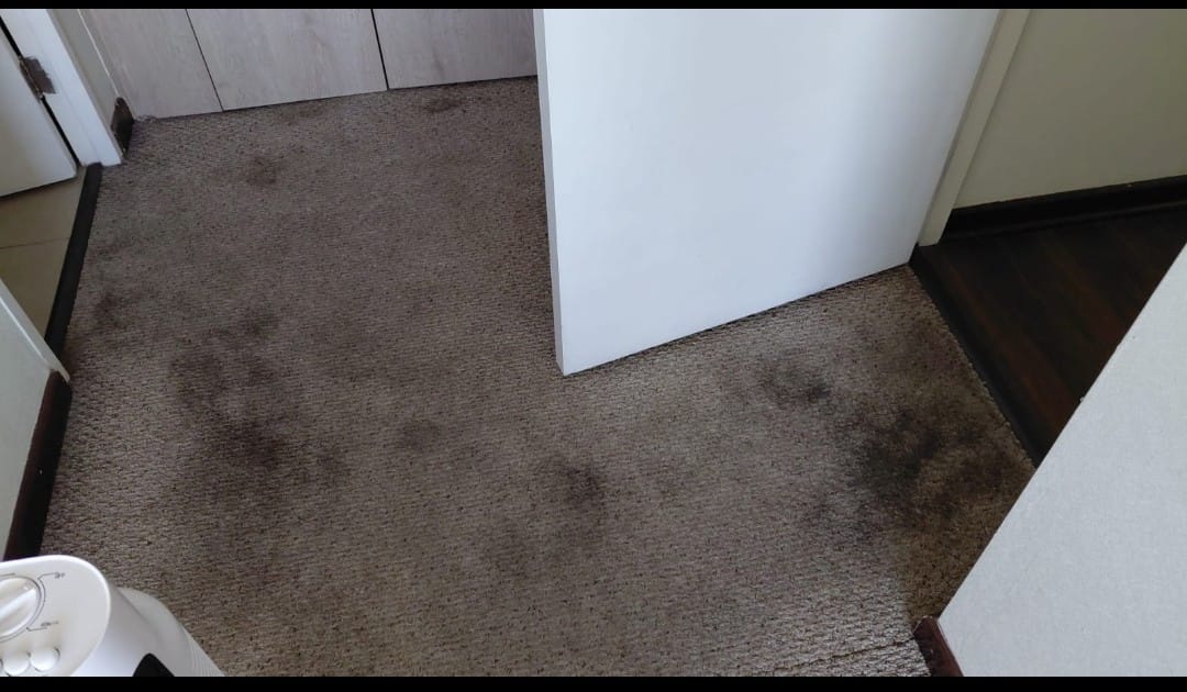 Customer photo review of Textil Cleaner 500 ml