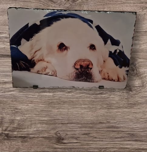 Customer photo review of Leisteen Rechthoek 30 x 20 cm voor sublimatie