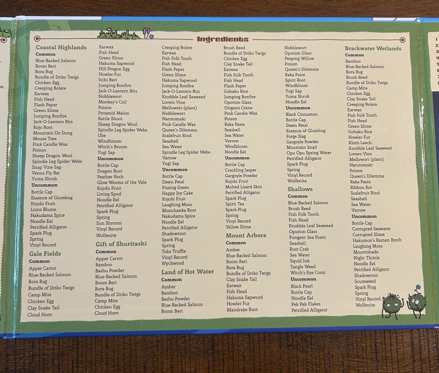 Customer photo review of Obojima DM Screen