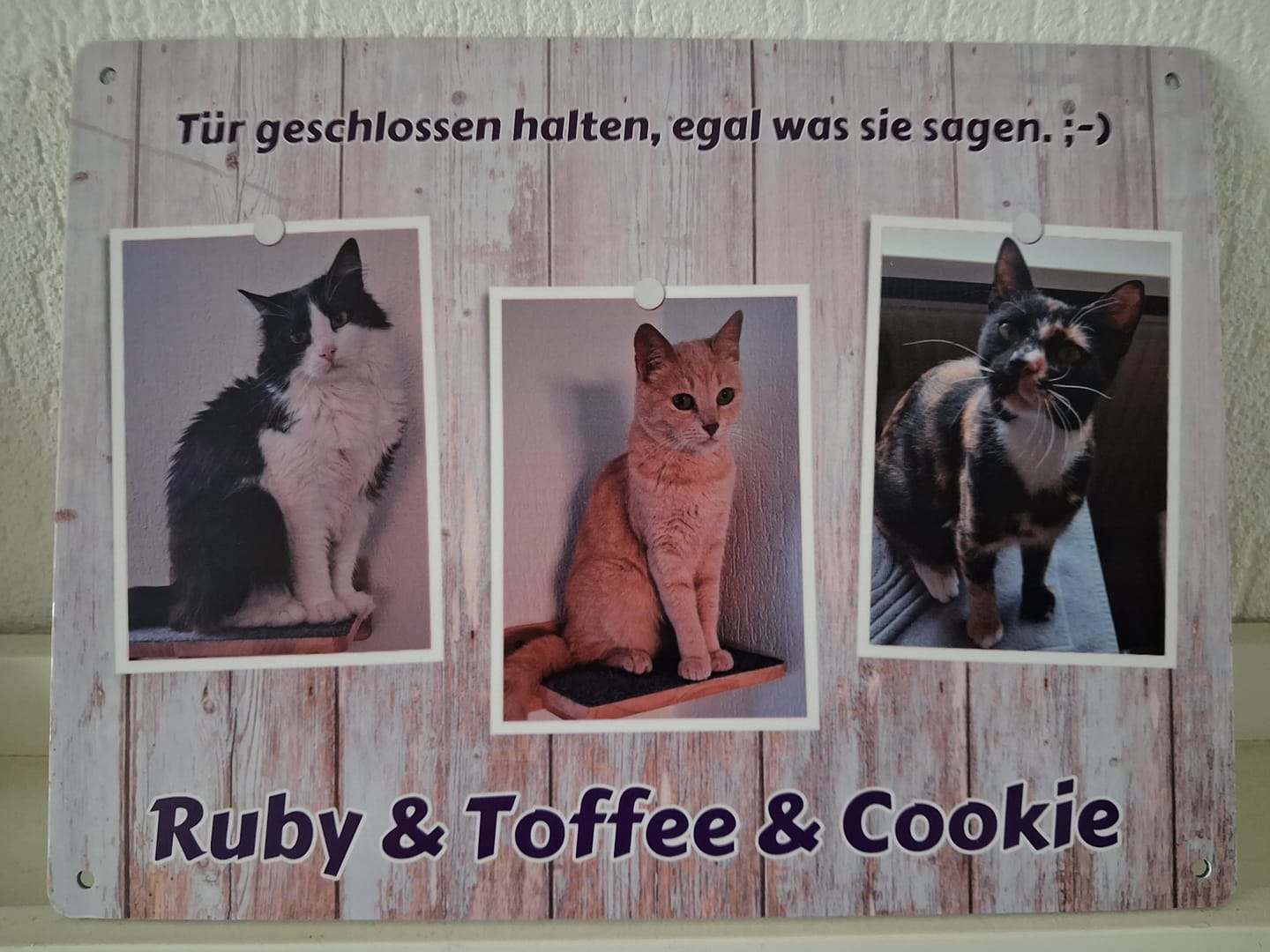 Customer photo review of Hunde-Türschild personalisiert mit Foto & Text (UV- und wetterfest)