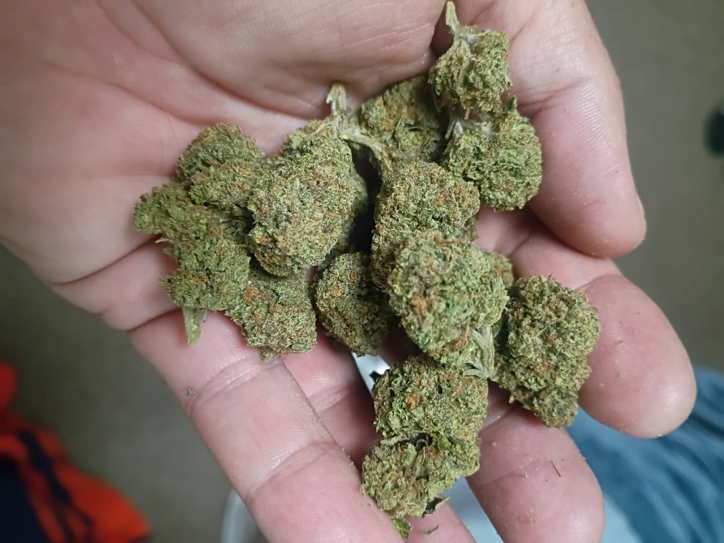 Customer photo review of Light Assist THCA Flower