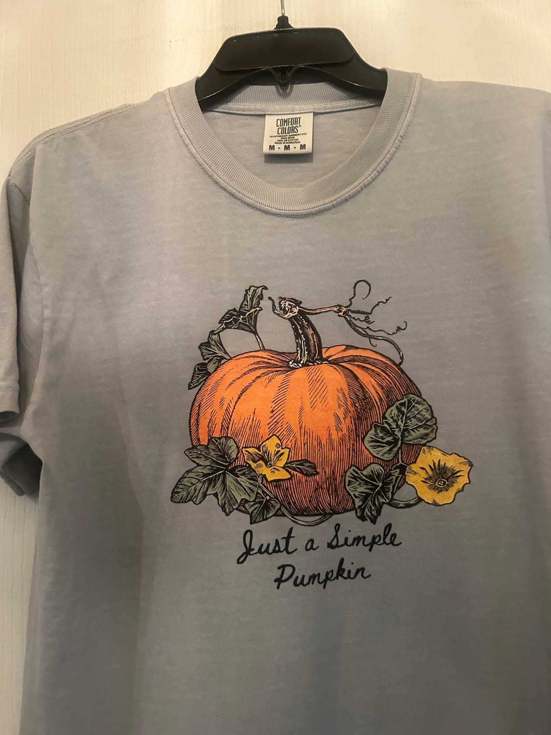 Customer photo review of Just a Simple Pumpkin T-Shirt