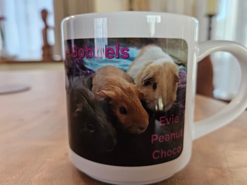 Customer photo review of 330ml (11oz) Mok klasse A+ onderkant aap voor sublimatie