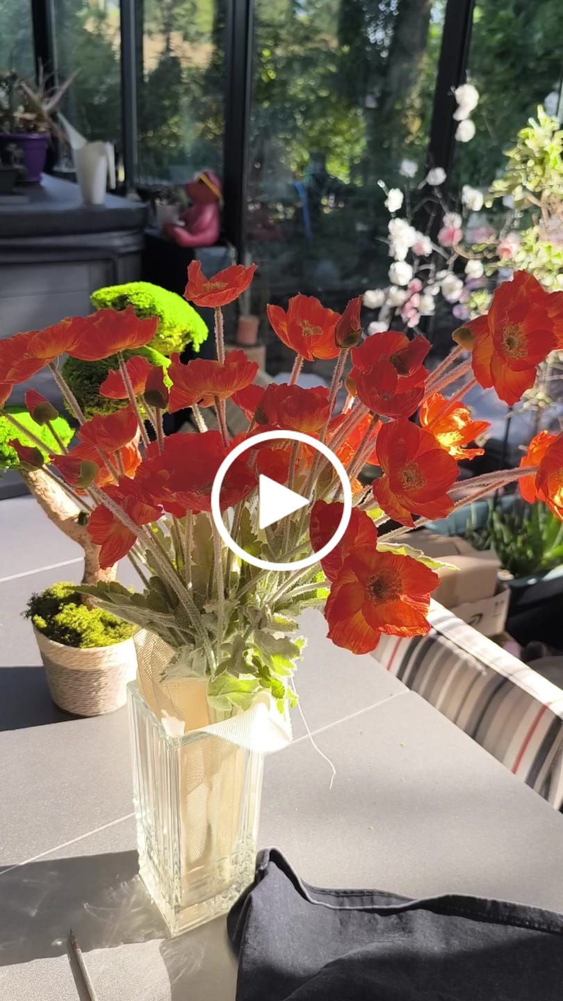 Customer video review of Coquelicots - Orange (10 tiges)