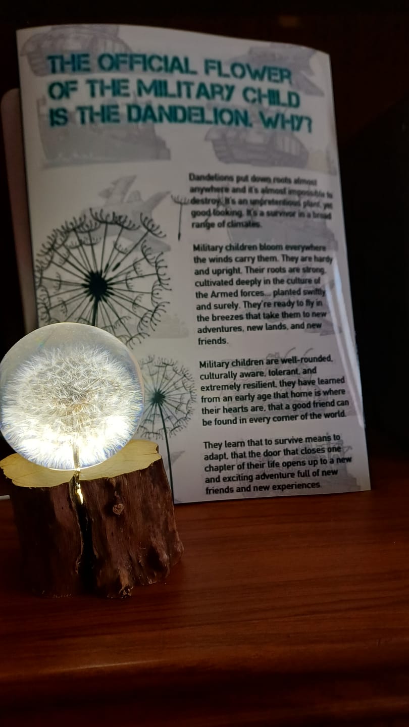Customer photo review of Dandelion Crystal Glass Ball