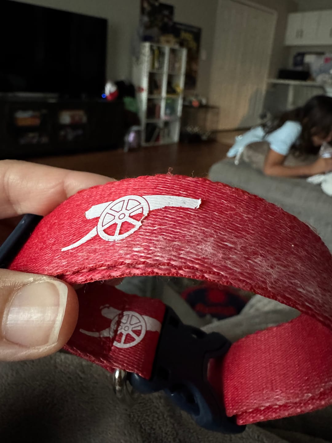 Customer photo review of Arsenal Comfort Pet Collar