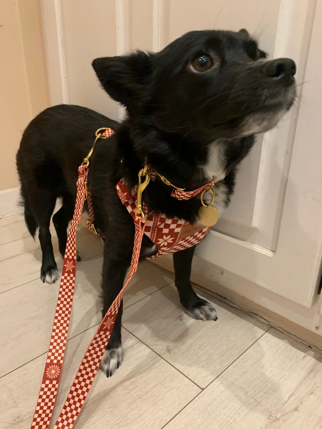 Customer photo review of Smycz przepinana "Cozy Plaid" - złote okucia