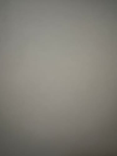 Customer photo review of All-Around Camera Protection (2-Pack)