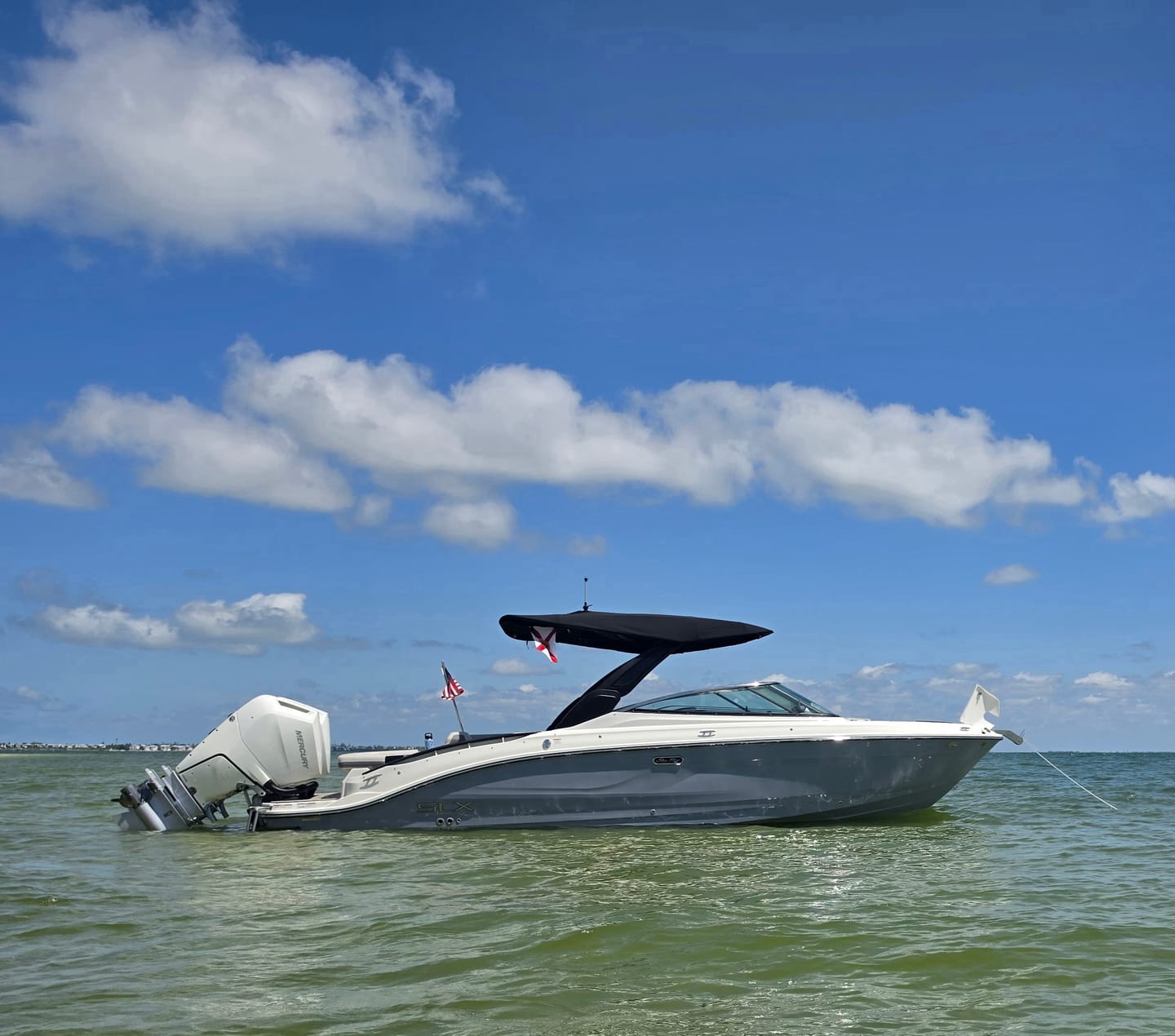 Customer photo of the Florida State Flag