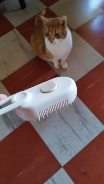 Customer photo review of ™CloudComb- מברשת אדים חכמה לטיפול בנשירה