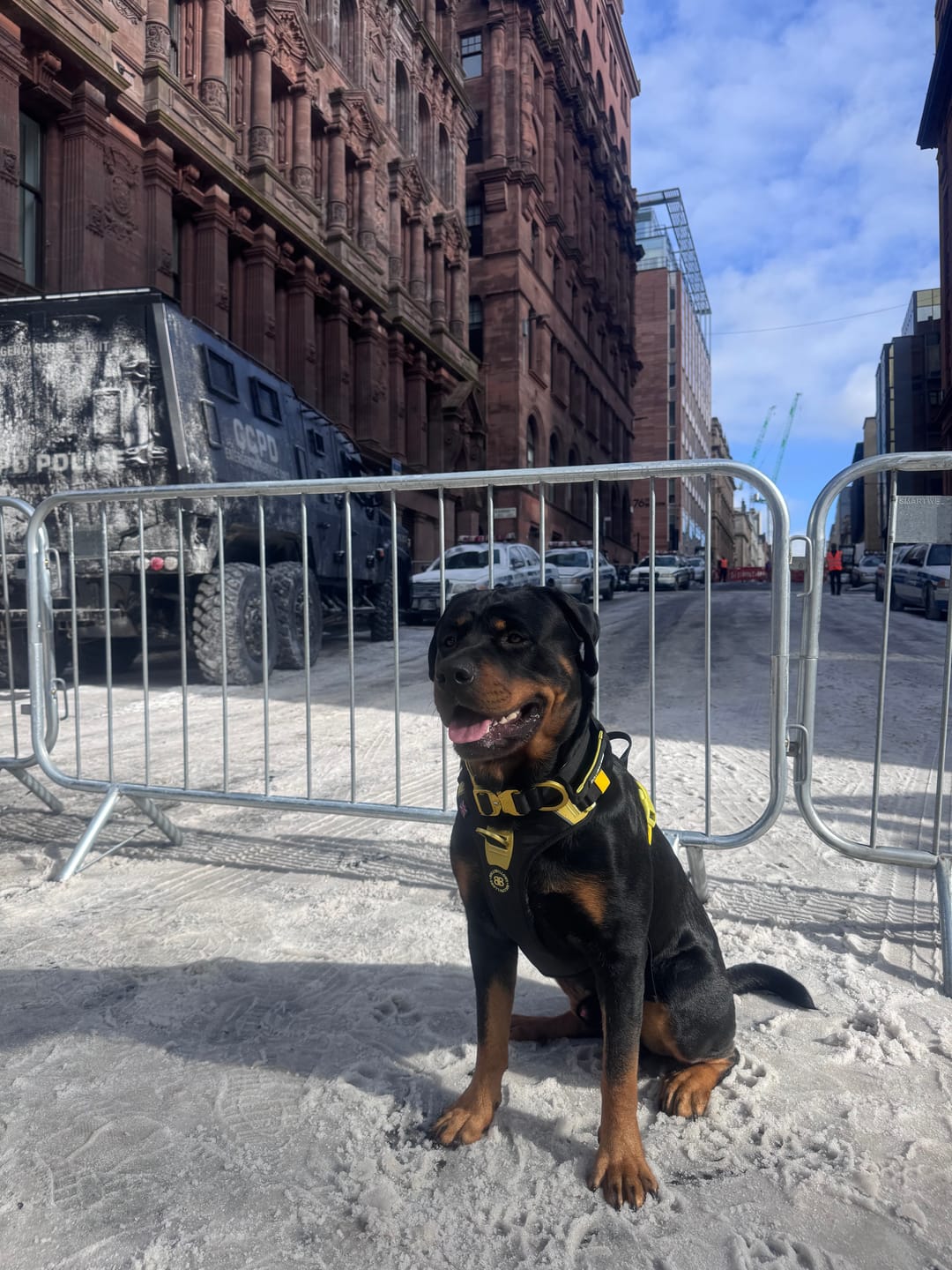 Customer photo review of Anti Pull Hurricane Harness Lighter | With Handle - Black X Yellow