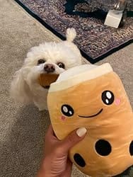 Customer photo review of Cute Kawaii Boba Tea Plush Toy – Soft Strawberry Milk Tea Stuffed Plushie & Huggable Throw Pillow Cushion