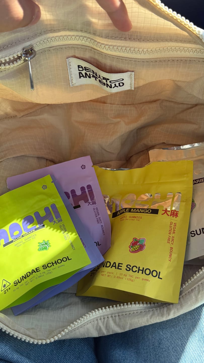 Customer photo review of Mochi Discovery Pack