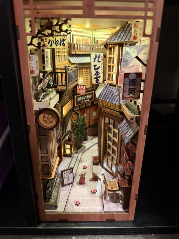 Customer photo review of Alley Waiting for the Cat