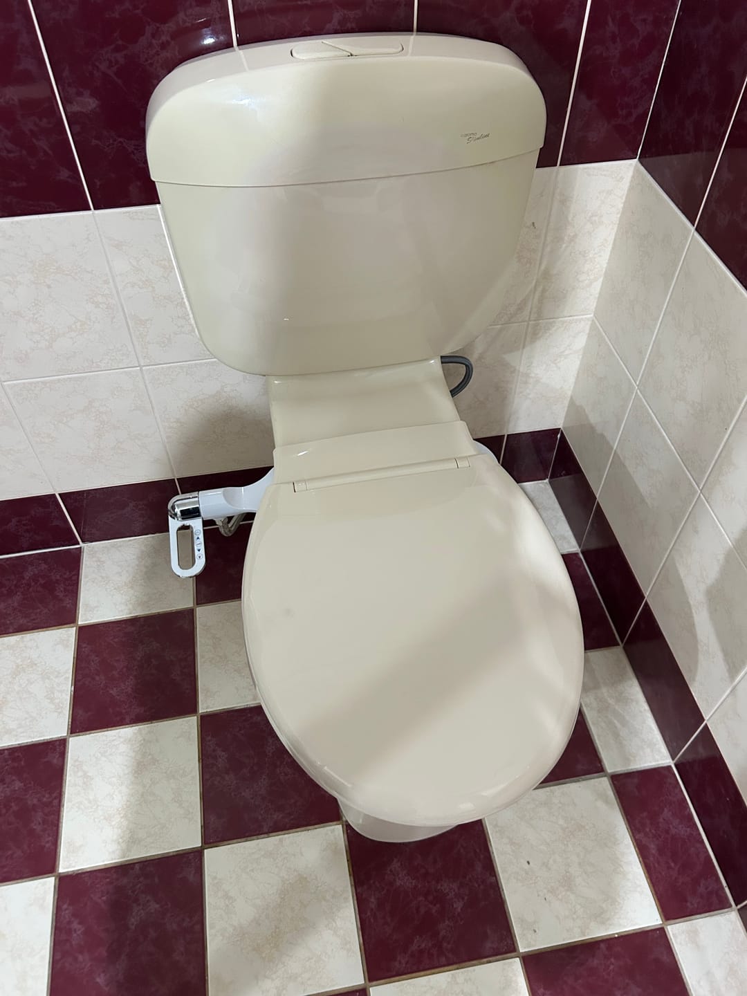 Customer photo review of Hygienex® Original Bidet 2.0