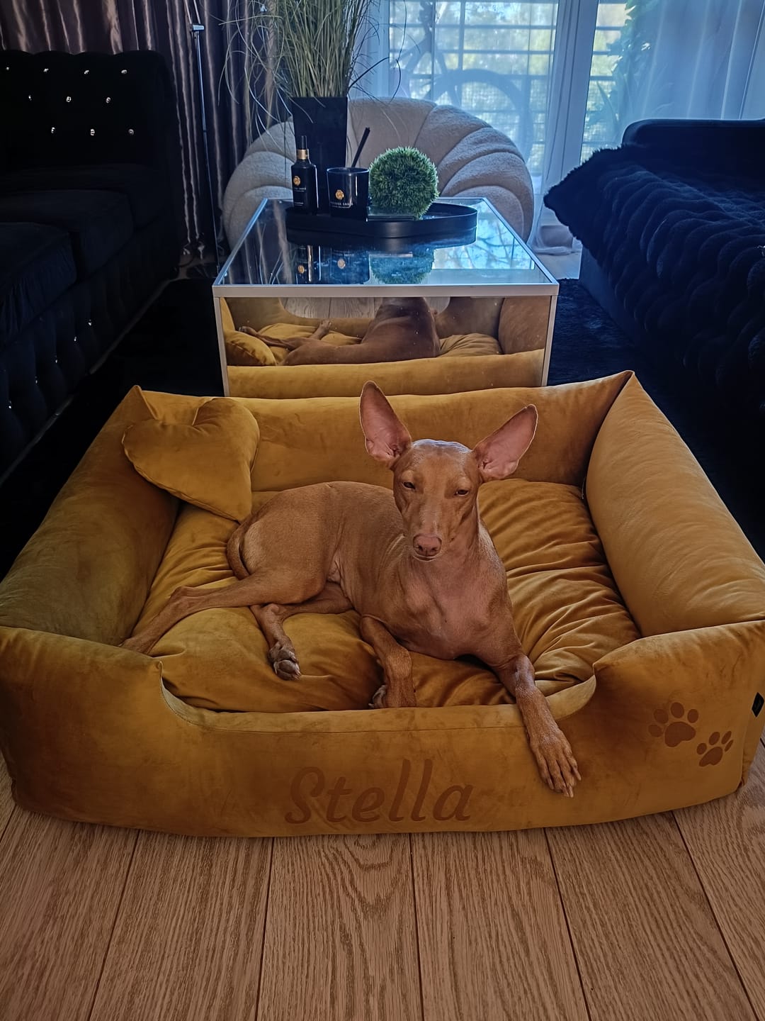 Customer photo review of Velvet Musztardowe– Legowisko z imieniem