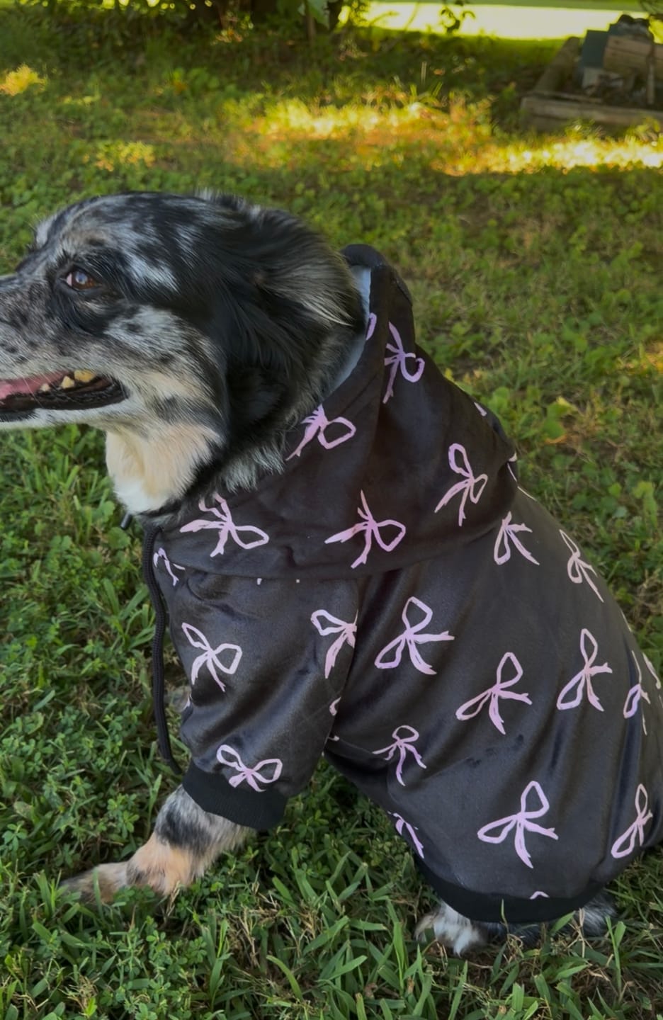 Customer photo review of Coquette Dog Hoodie