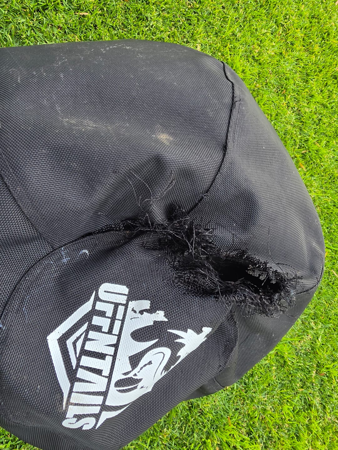 Customer photo review of Power Breed Herding Ball