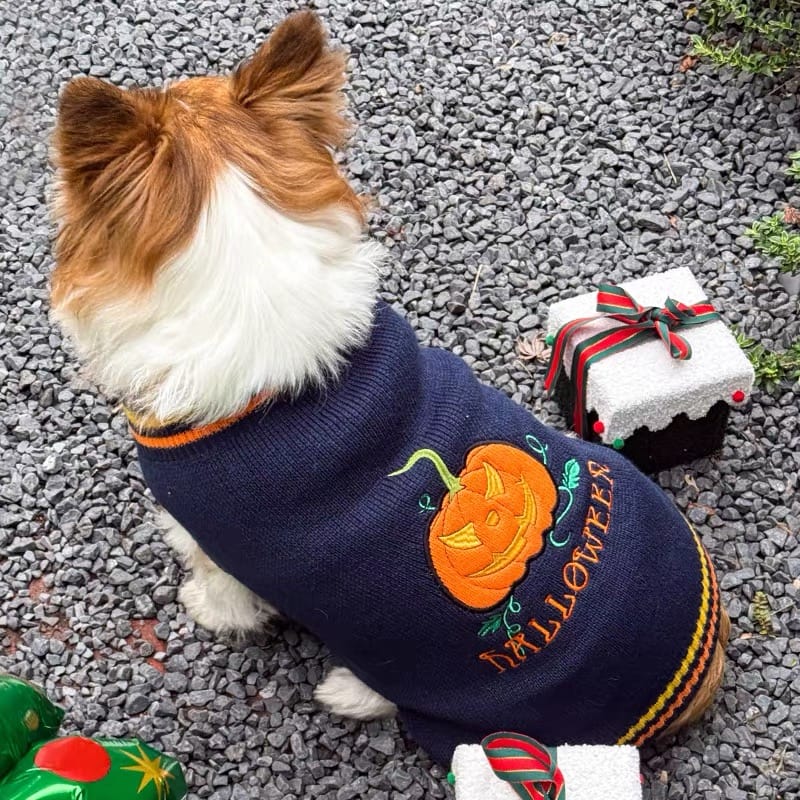 Customer photo review of Halloween Costume Crochet Sweater