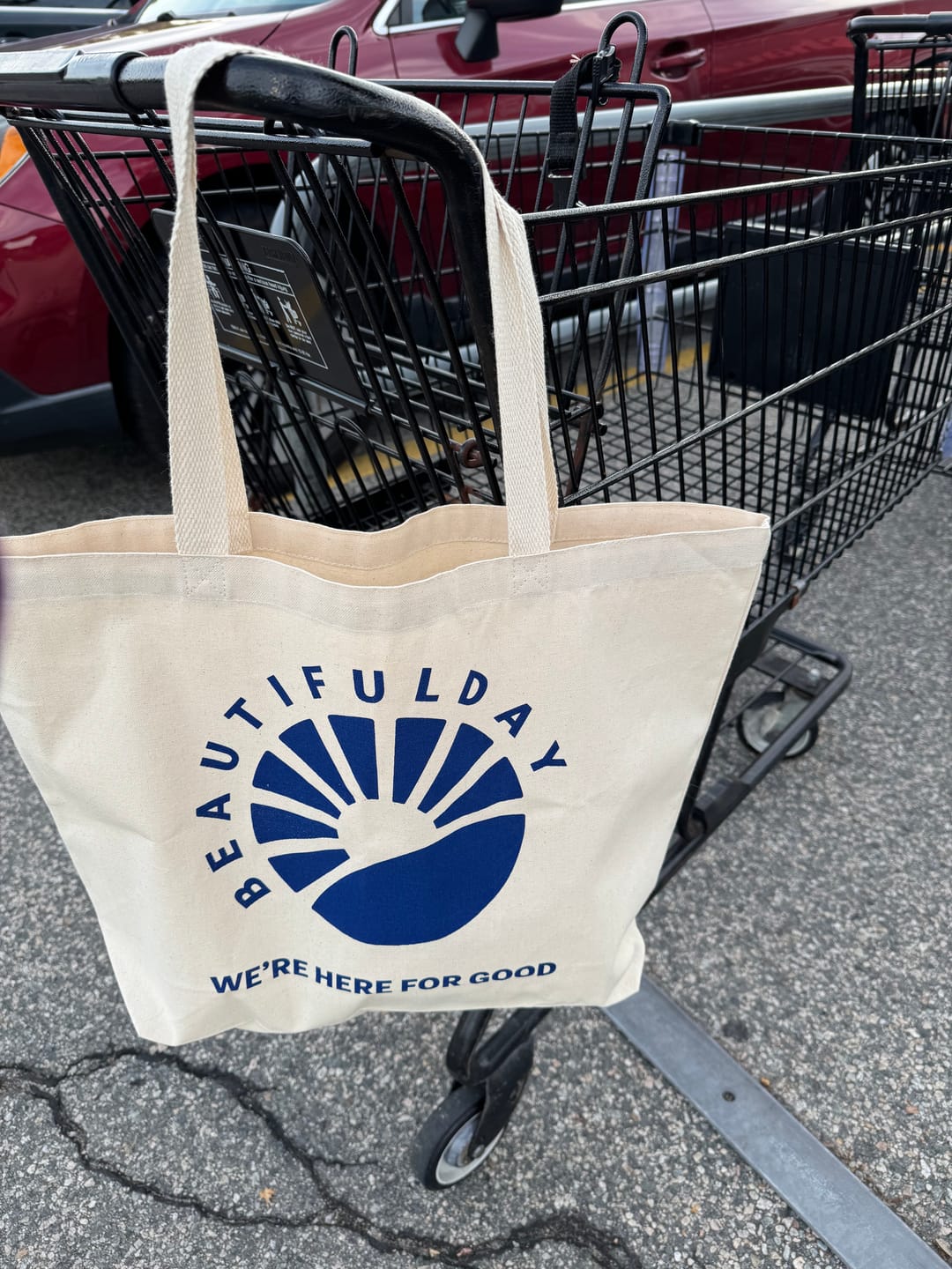 Customer photo review of Beautiful Tote Bags $20