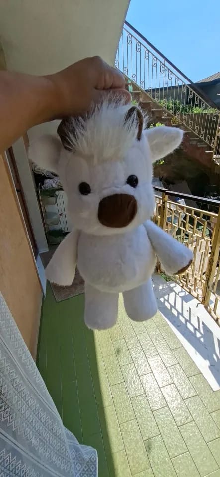 Customer photo review of Peluche Corredor Pluvie™