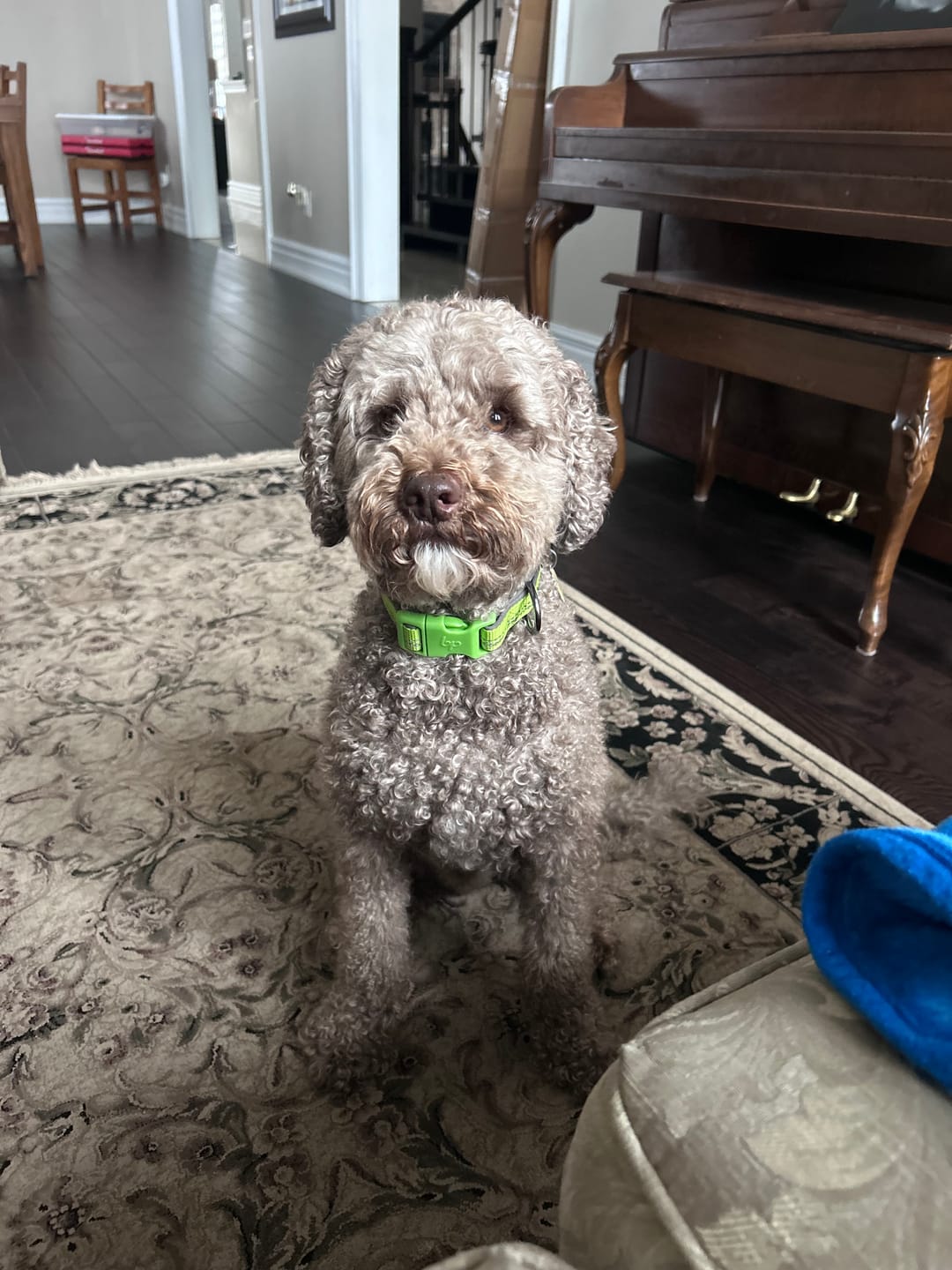 Customer photo review of 6 Inch Beef Jerky Stick
