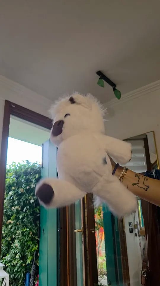 Customer photo review of Peluche Corredor Pluvie™
