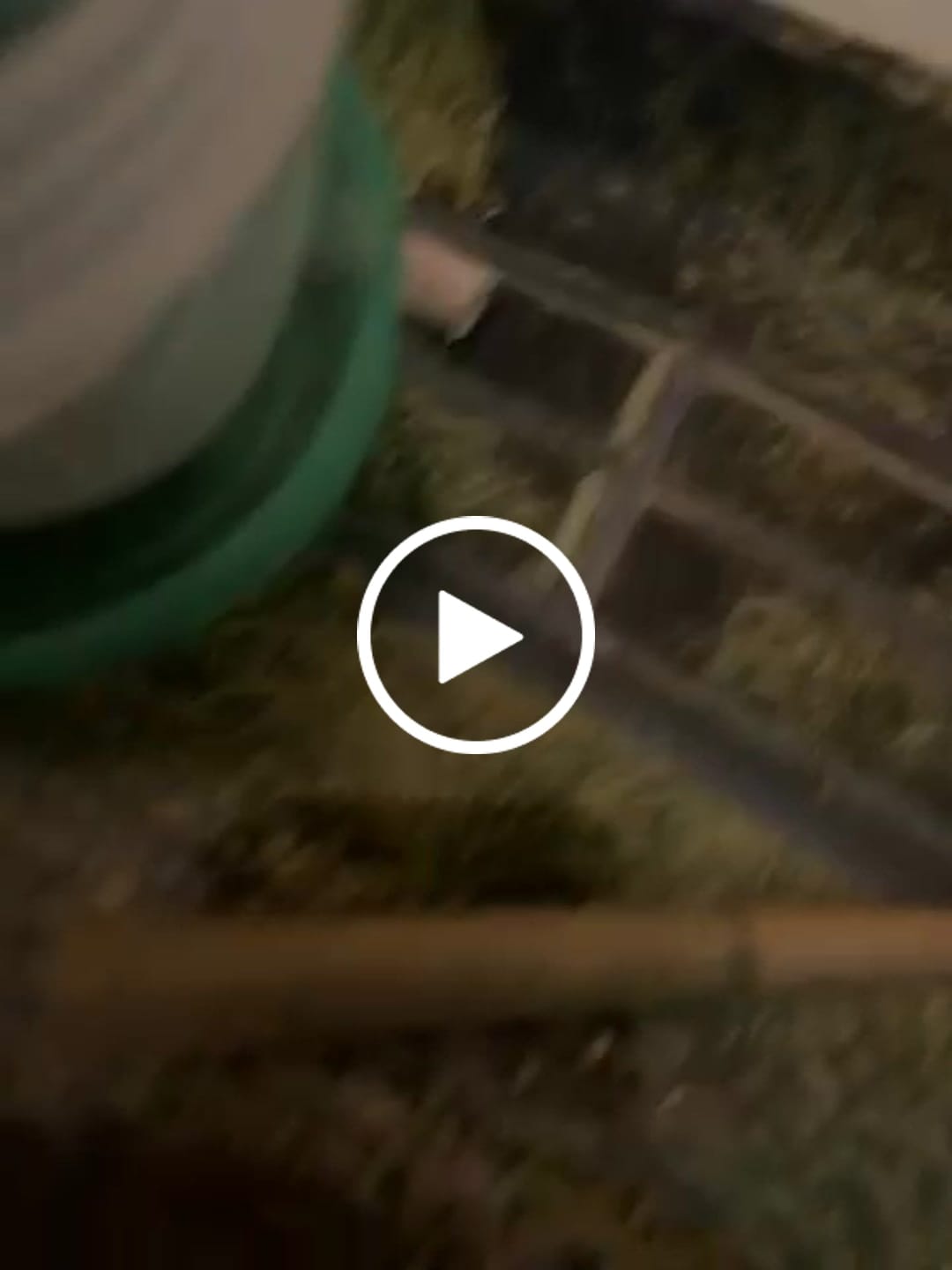 Customer video review of Alien OG (Indoor) - THCA Flower
