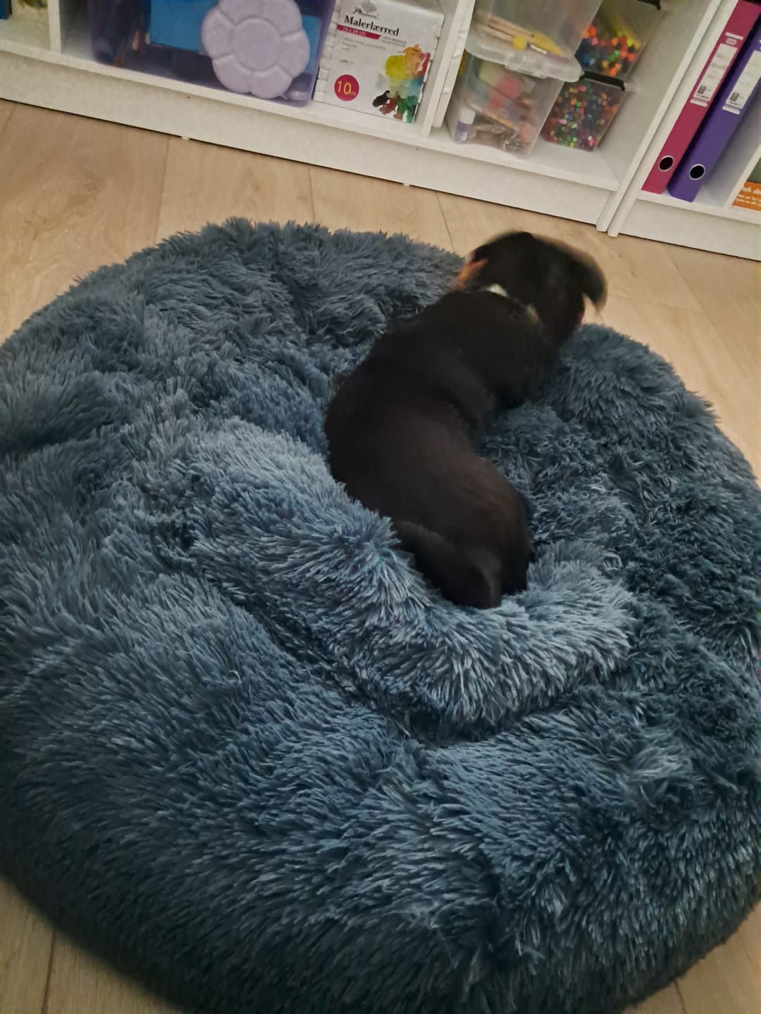 Customer photo review of Fluffy Donut Hundeseng, antracit grå