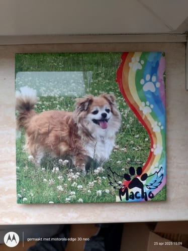 Customer photo review of Sublimatie tegel 15x15 cm wit glans – keramiek A+ kwaliteit