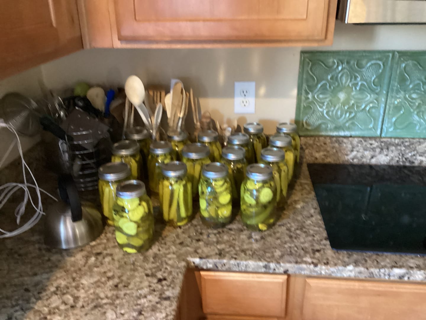 Customer photo review of Indiana Pickling Cucumbers 1/2 BU (Medium Size)