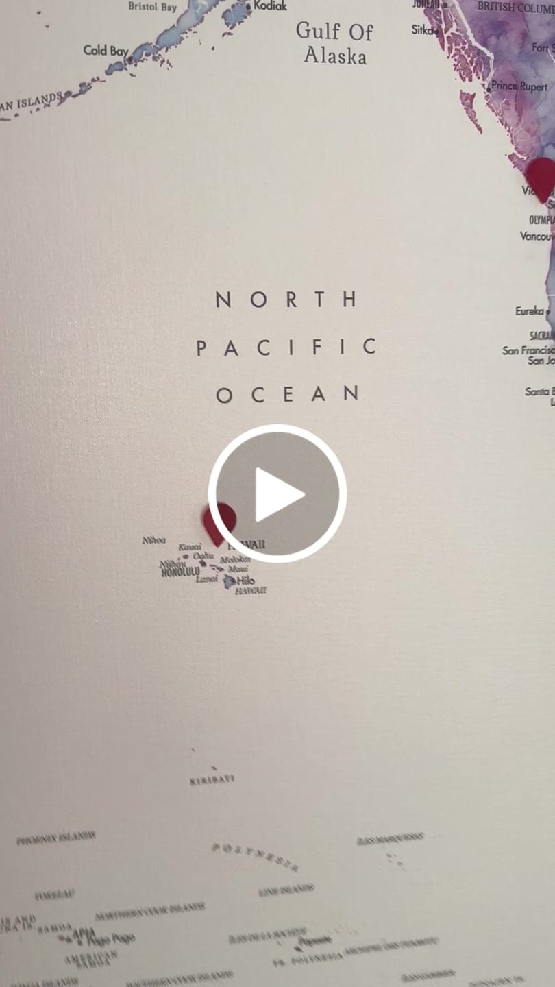 Customer video review of Smart World Map Bundle - Safari