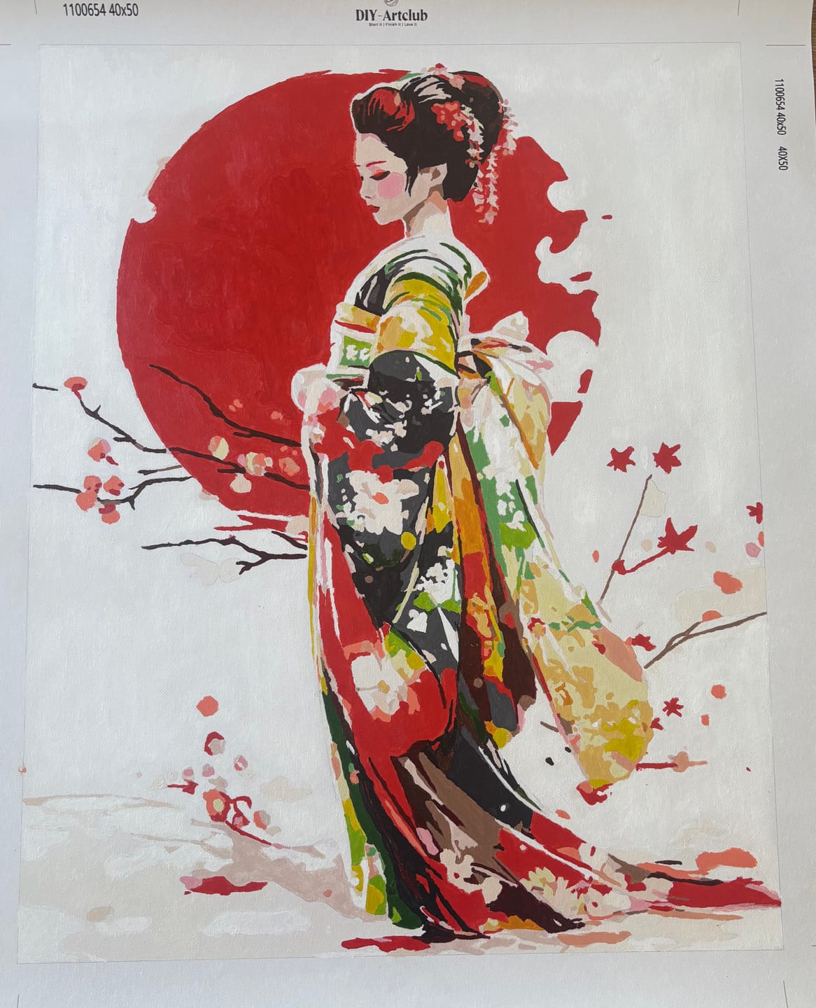 Customer photo review of Japanese Geisha | Paint by Numbers